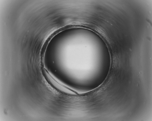 X0000103290976200808291329