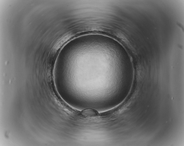 X0000103290977200808291329