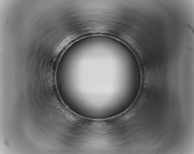 X0000103290978200808291329