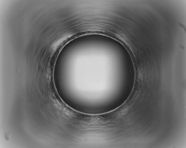 X0000103290979200808291329