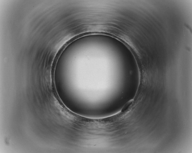 X0000103290980200808291329