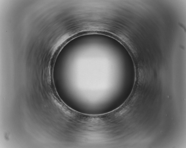 X0000103290982200808291329