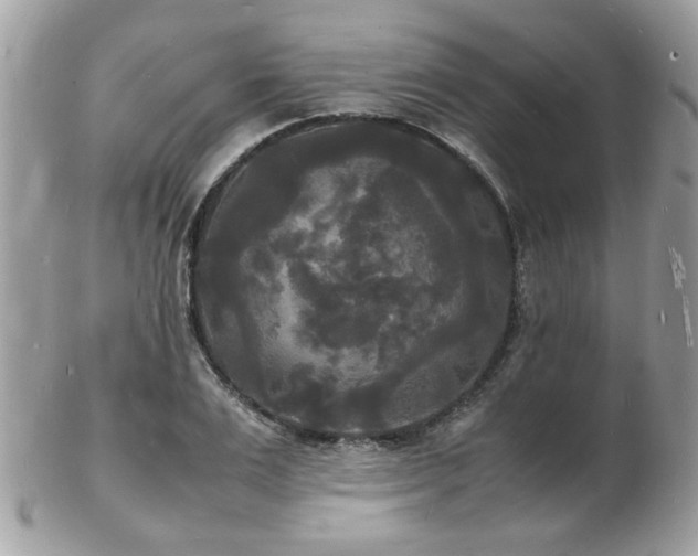 X0000103290983200808291329