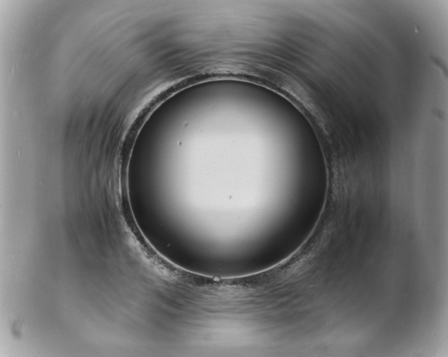X0000103290984200808291329