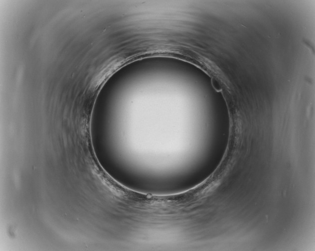 X0000103290985200808291329