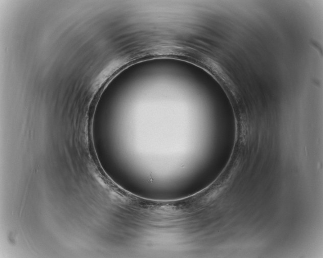 X0000103290986200808291329
