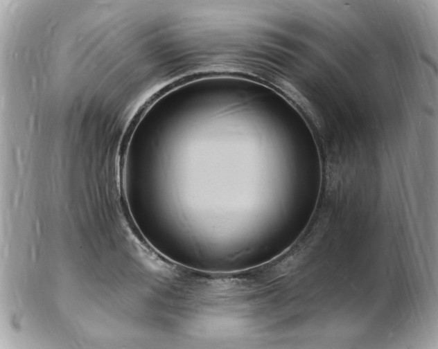 X0000103290988200808291329