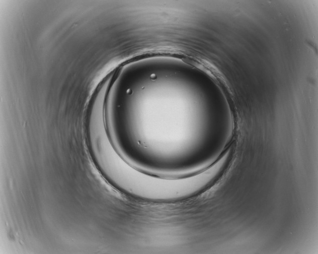 X0000103290989200808291329
