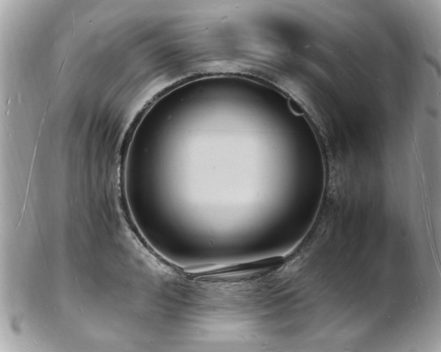 X0000103290992200808291329