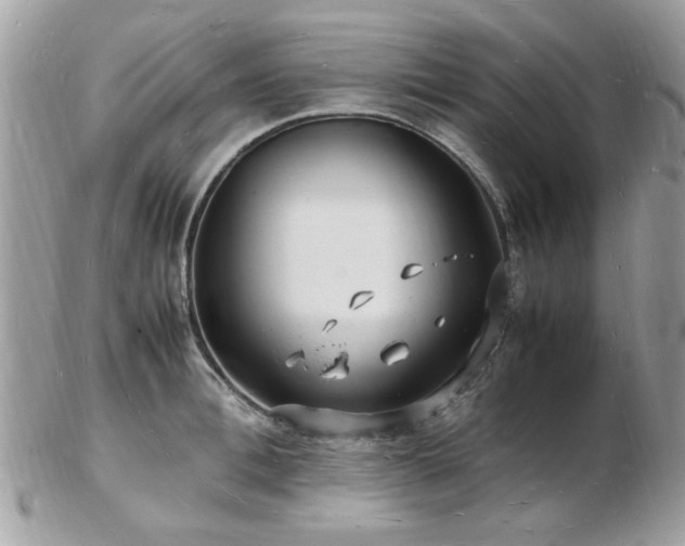 X0000103290996200808291329