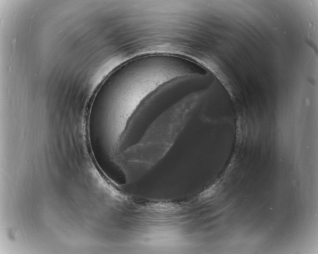 X0000103290998200808291329