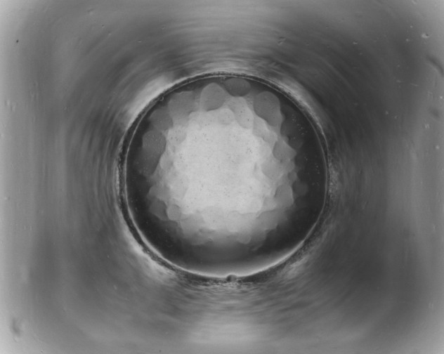 X0000103290999200808291329