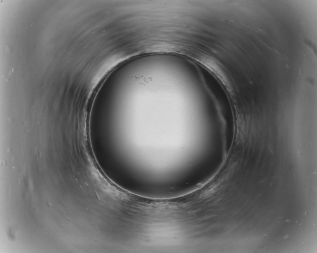 X0000103291000200808291329