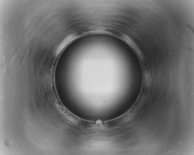 X0000103291002200808291329