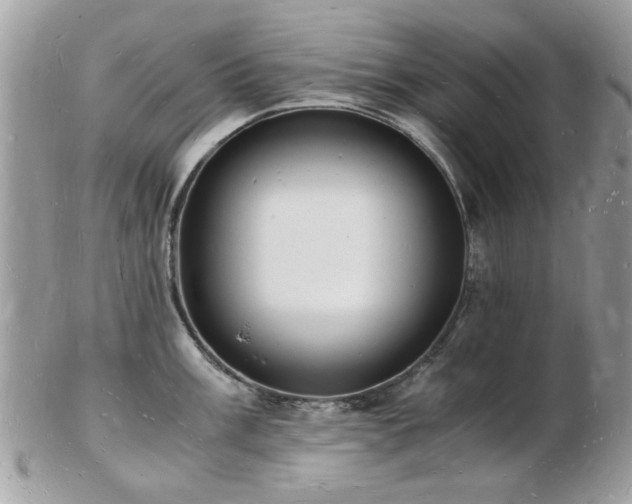 X0000103291003200808291329