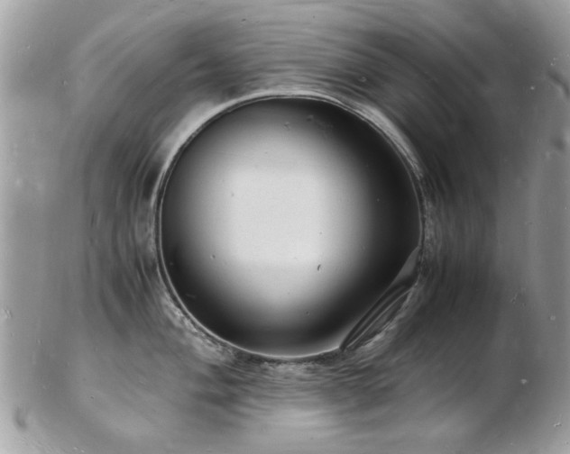 X0000103291004200808291329