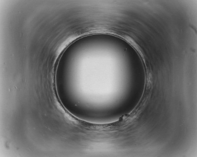 X0000103291005200808291329