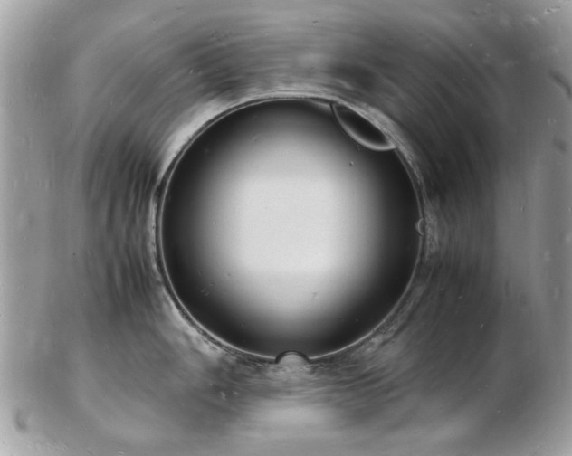 X0000103291006200808291329