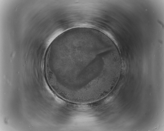 X0000103291007200808291329