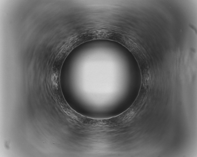 X0000103291010200808291328