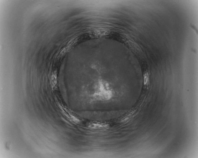 X0000103291011200808291328