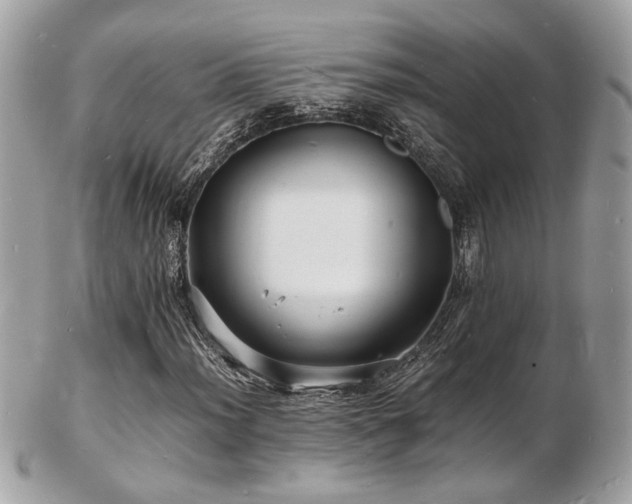 X0000103291012200808291328