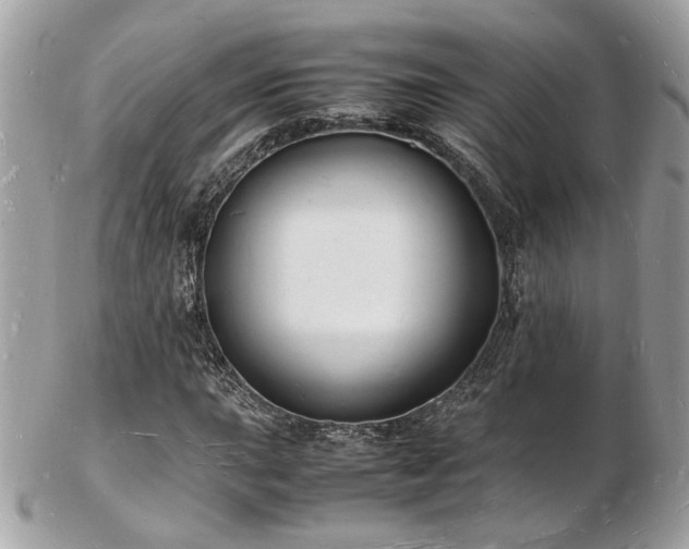 X0000103291015200808291328