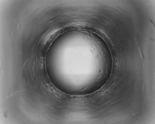 X0000103291016200808291328