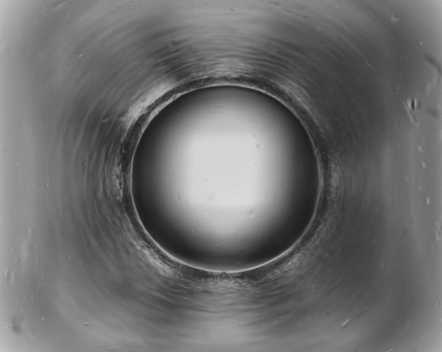 X0000103291018200808291328