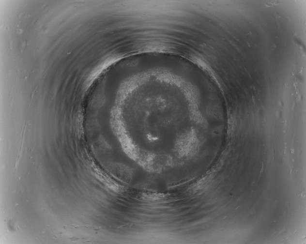 X0000103291019200808291328