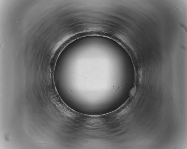 X0000103291021200808291328