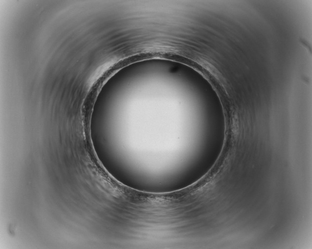 X0000103291022200808291328
