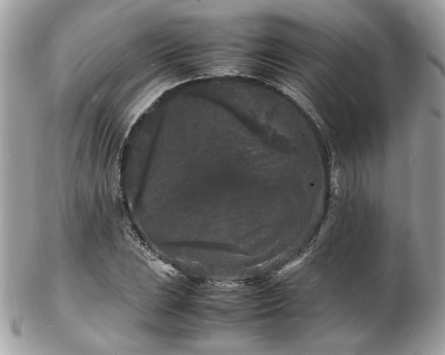 X0000103291023200808291328