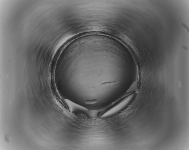 X0000103291024200808291328