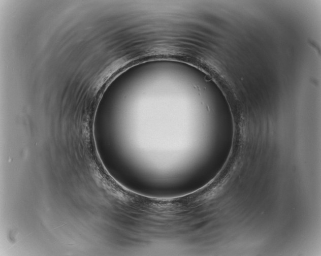 X0000103291025200808291328