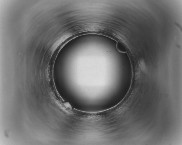 X0000103291026200808291329