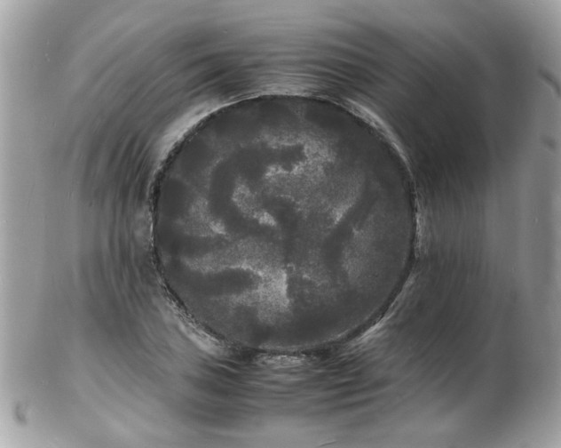 X0000103291027200808291329
