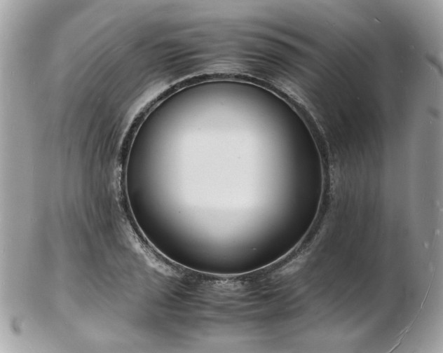 X0000103291029200808291329