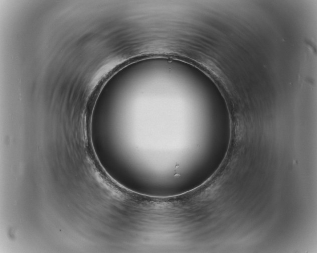 X0000103291030200808291329