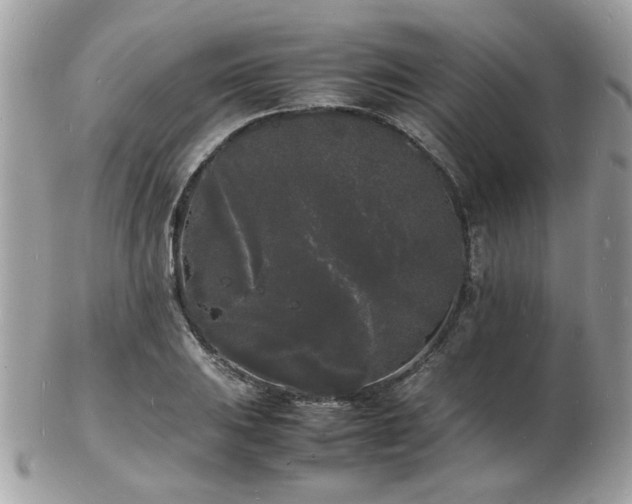 X0000103291031200808291329