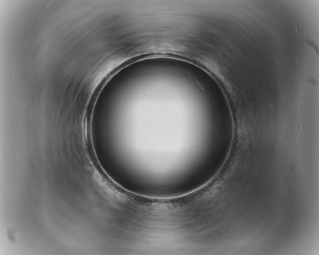 X0000103291032200808291329