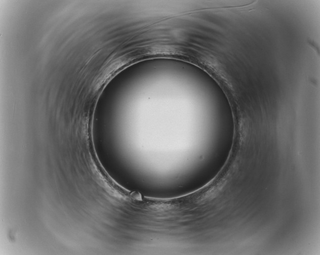 X0000103291033200808291329