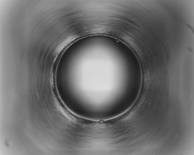 X0000103291034200808291329