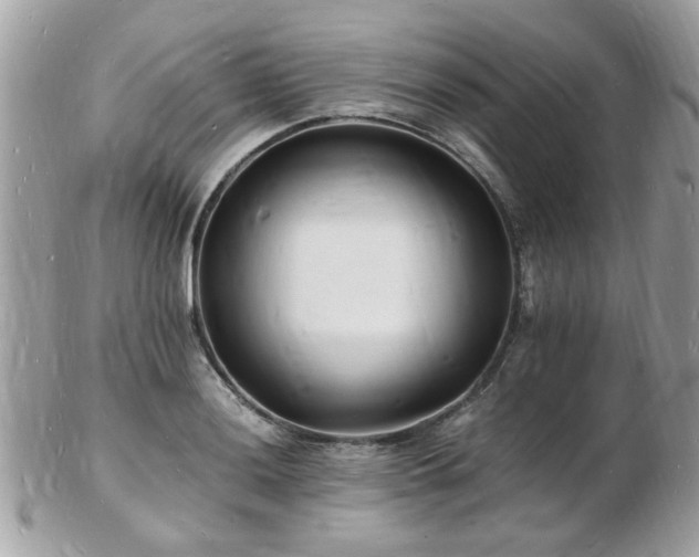 X0000103291036200808291329