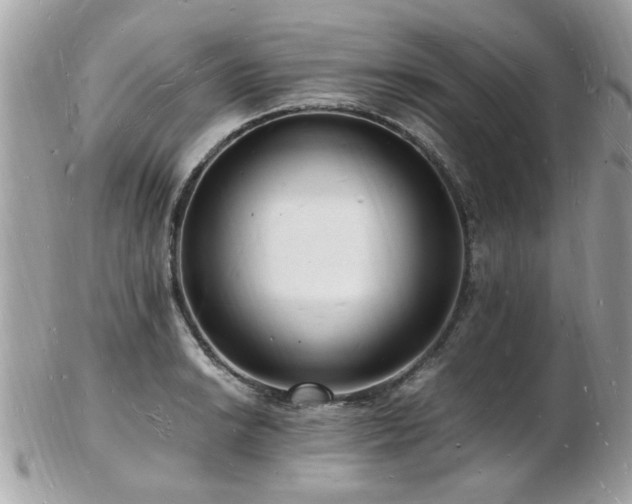 X0000103291038200808291329