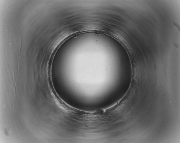 X0000103291039200808291329