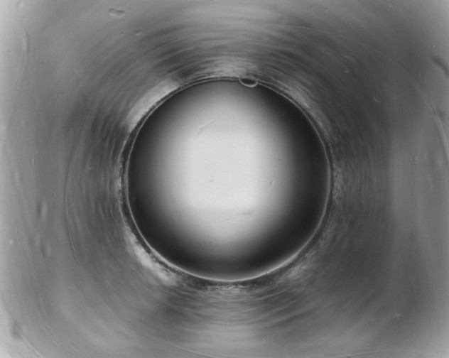 X0000103291042200808291329