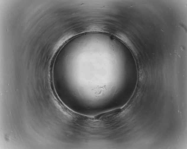 X0000103291043200808291329