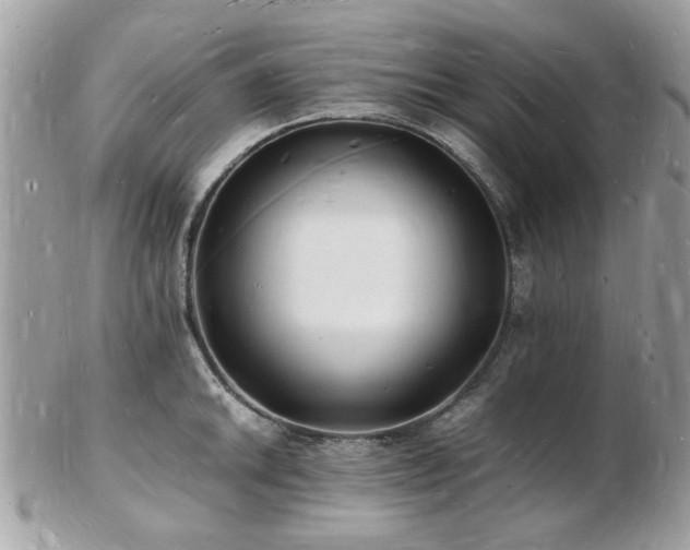 X0000103291046200808291329
