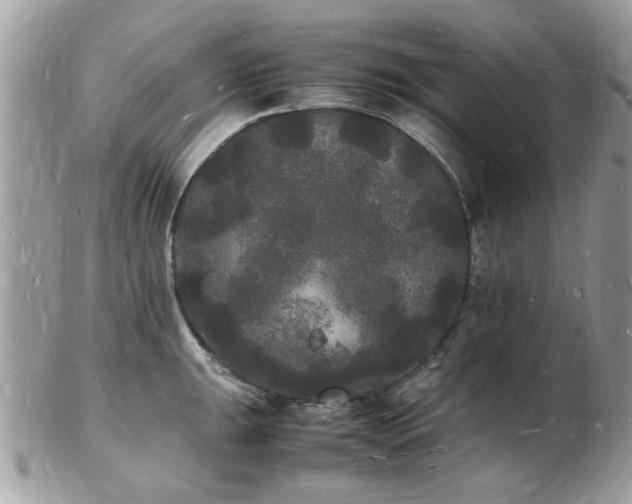 X0000103291047200808291329